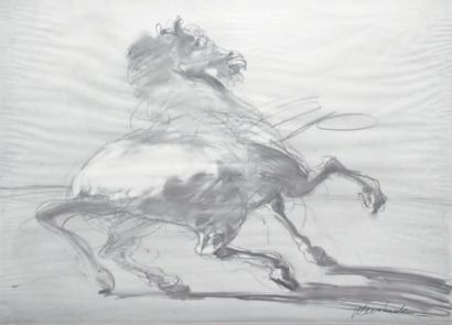 Claude WEISBUCH - 1927-2014
CHEVAL CABRÉ
Dessin...