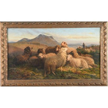 SCHENCK. « Troupeau de moutons dans un paysage...
