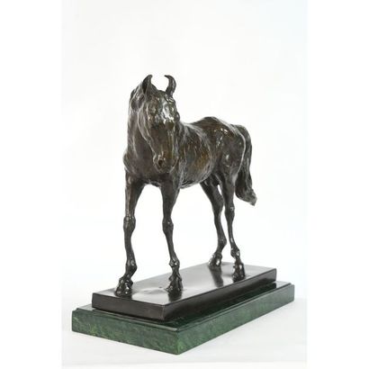 ANONYME début XXè. « Cheval ». Bronze à patine...