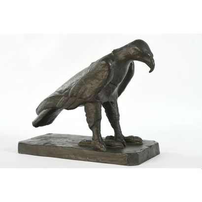 MAGLIANO. « Aigle fixant le sol ». Bronze...