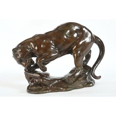 GARDET Georges. (1863-1939). « Jeune panthère...