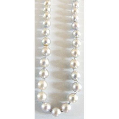 COLLIER 1 rang de 100 perles grises Akoya...