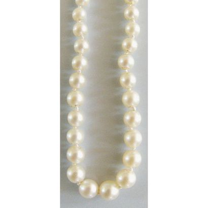 COLLIER 1 rang de perles de culture en chute....