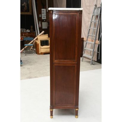 LIBRARY LOUIS XVI in mahogany and mahogany...