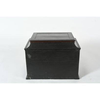 PETIT CABINET DE CURIOSITE en ébène et bois...
