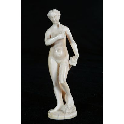 RARE COLLECTION OF ANATOMIC IVORIES representing...