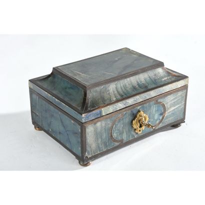CURIOUS LOUIS XIV blue tortoiseshell CASE...
