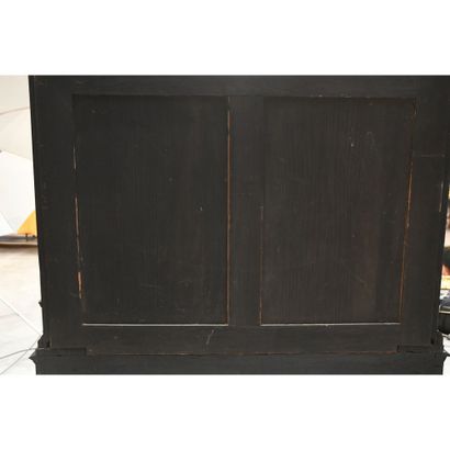 SPECTACULAR ANVERSOIS CABINET in red tortoiseshell,...