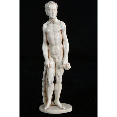 RARE COLLECTION OF ANATOMIC IVORIES representing...