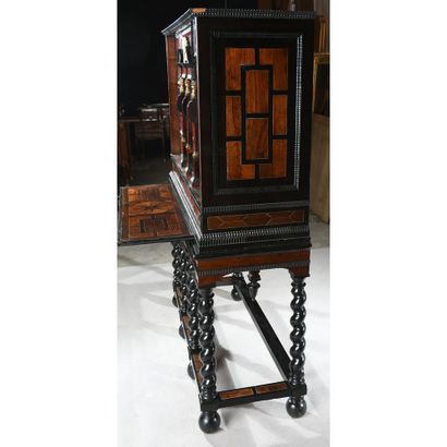 SPECTACULAR ANVERSOIS CABINET in red tortoiseshell,...