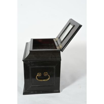 PETIT CABINET DE CURIOSITE en ébène et bois...