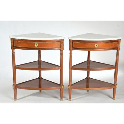 PAIR OF ANGLES FURNITURE LOUIS XVI in mahogany...