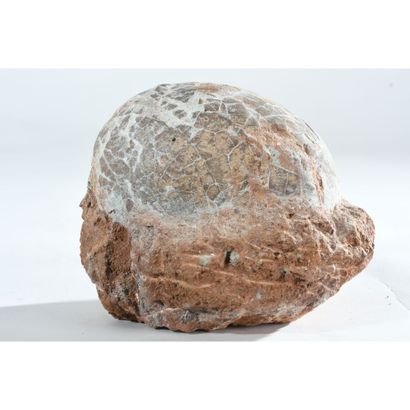 Gray-shelled DINOSAUR'S EGG in its original...
