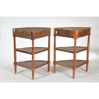 PAIR OF ANGLES FURNITURE LOUIS XVI in mahogany...