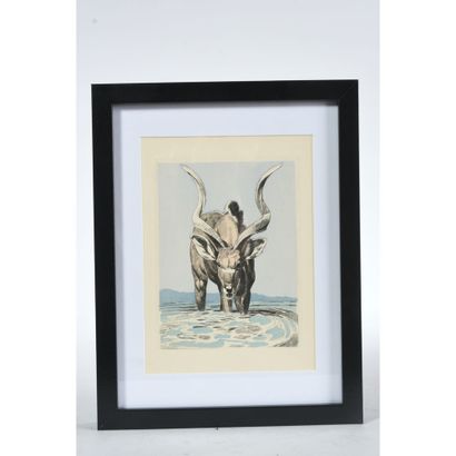 JOUVE Paul (1878-1973). (After). 4 etchings...