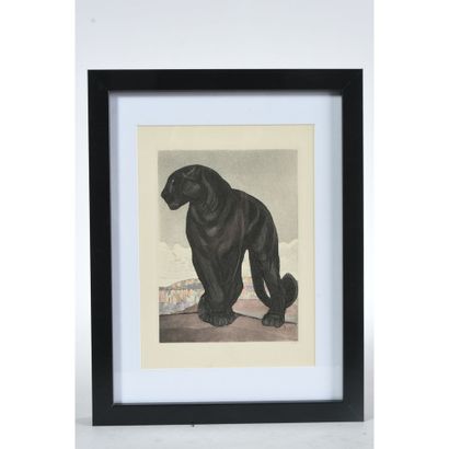 JOUVE Paul (1878-1973). (After). 4 etchings...