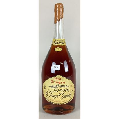 1 Magnum (1,5l) of Vieil Armagnac, Domaine...