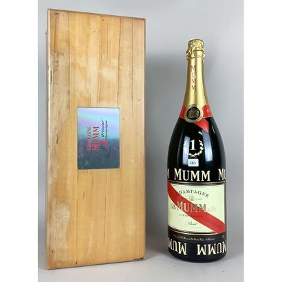 1 double Magnum (300ml) of Champagne MUMM,...