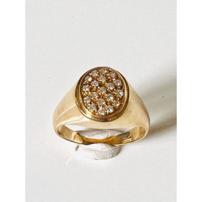 HORSE in yellow gold 750°/°° decorated with...