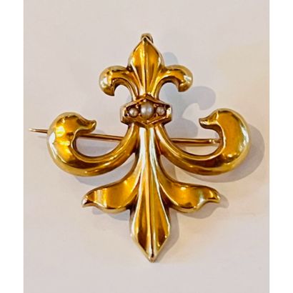 BROCHE PENDENTIF en or jaune 750°/°° fleur...
