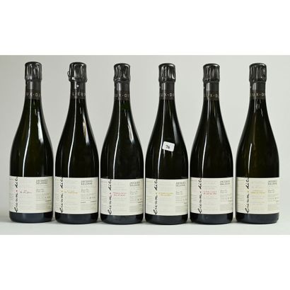 CBO Champagne Jacques SELOSSE, Collection...