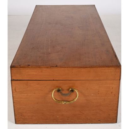 LARGE mahogany chest with gilt patina bronze...