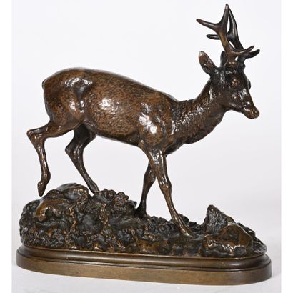 FOUQUES Henri Amédée. (1857-1903). «Le chevreuil»....