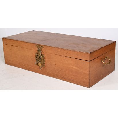 LARGE mahogany chest with gilt patina bronze...