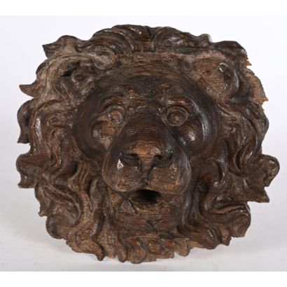LION HEAD in patinated oak with a beautiful...