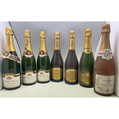 7 Btles Champagne Brut dont 1 Rosé.