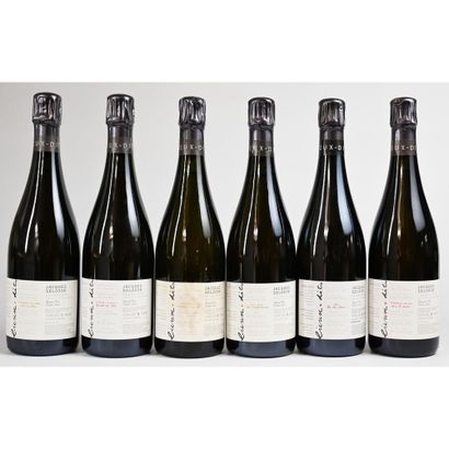 Jacques SELOSSE. 1 cageot de 6 Btles Champagne...