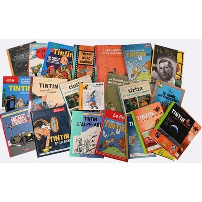 FORT LOT DE LIVRES sur les aventures de Tintin...