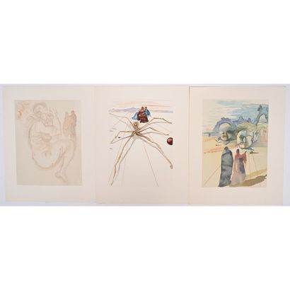 Dante, Salvador Dali. La divine comédie....