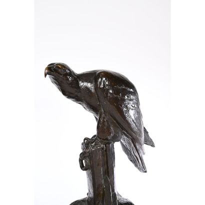 FIOT Maximilien. «Balbuzard pêcheur». Bronze...