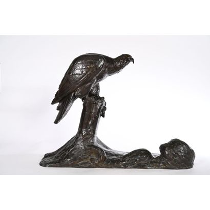 FIOT Maximilien. «Balbuzard pêcheur». Bronze...