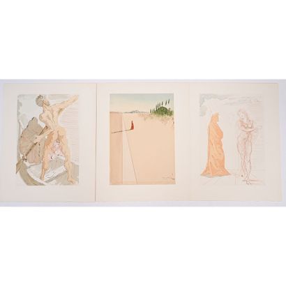 Dante, Salvador Dali. La divine comédie....