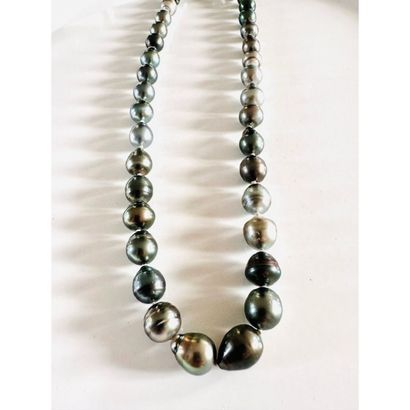 NECKLACE 1 strand of grey Tahitian pearls...