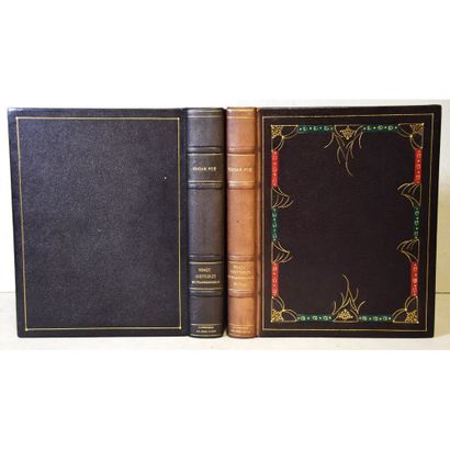 Edgar Allan Poë, vingt histoires extraordinaires,...