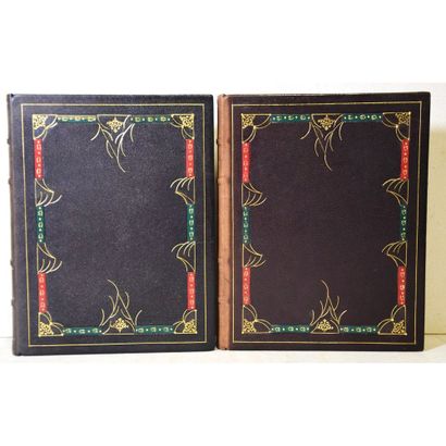 Edgar Allan Poë, vingt histoires extraordinaires,...