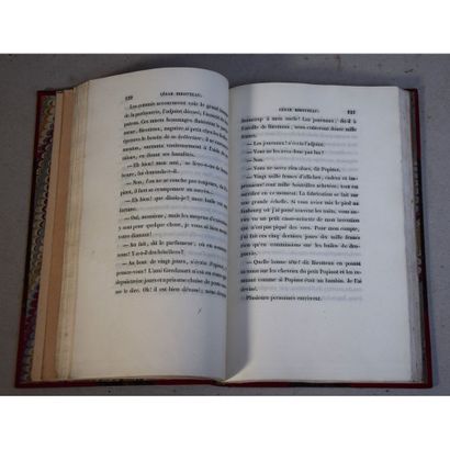 Honoré de Balzac, histoire de la grandeur...