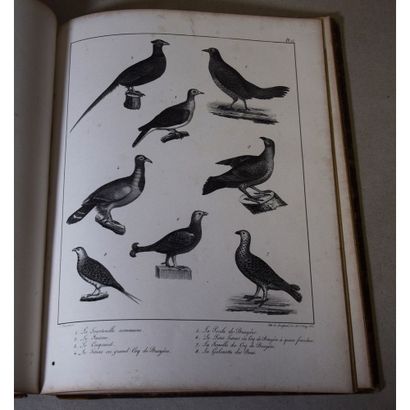 Baudrillart et De Quingery, traité général...