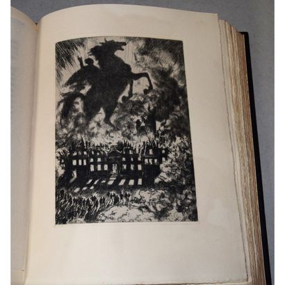 Edgar Allan Poë, vingt histoires extraordinaires,...