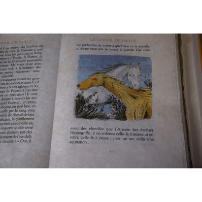 Jean Giono, ménagerie énigmatique, illustrations...