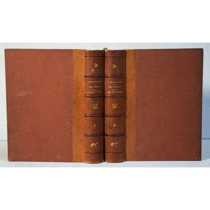Grandville, scènes de la vie privée et publique...