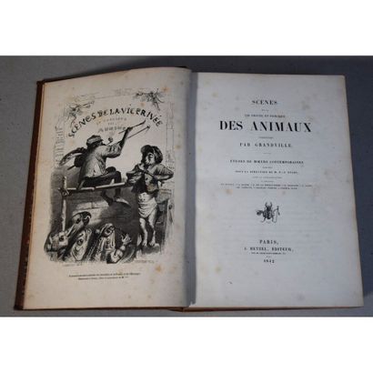 Grandville, scènes de la vie privée et publique...