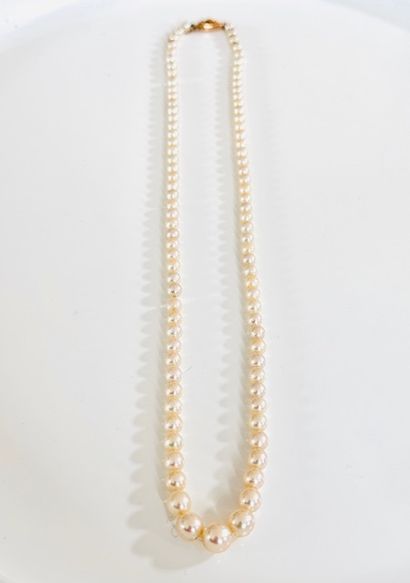 NECKLACE 1 strand of tumbling cultured pearls...