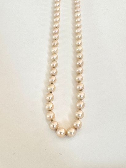 COLLIER 1 rang de perles de culture (5,10x5,40mm)....