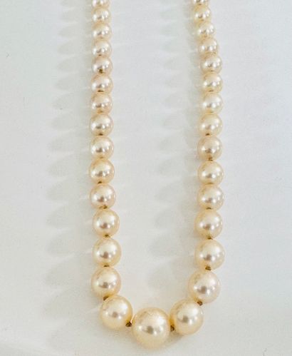 NECKLACE with 1 strand of cultured pearls...