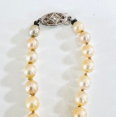 NECKLACE with 1 strand of cultured pearls...