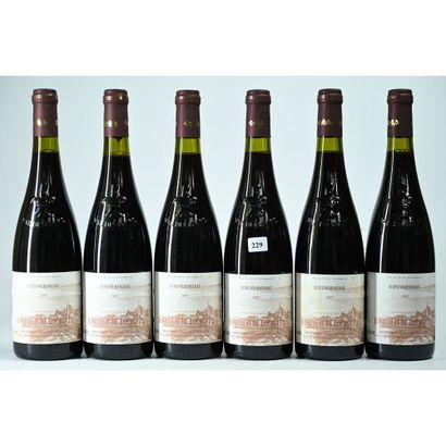 6 Btles SAINT NICOLAS DE BOURGUEUIL, Domaine...